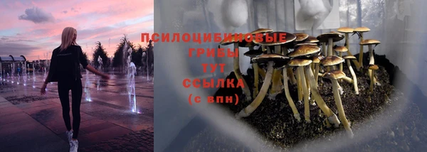 спайс Абаза