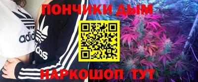 mdpv Краснознаменск
