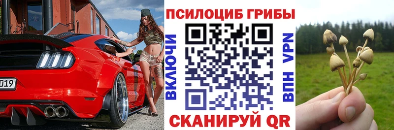 маркетплейс формула  Касимов  Псилоцибиновые грибы Cubensis 