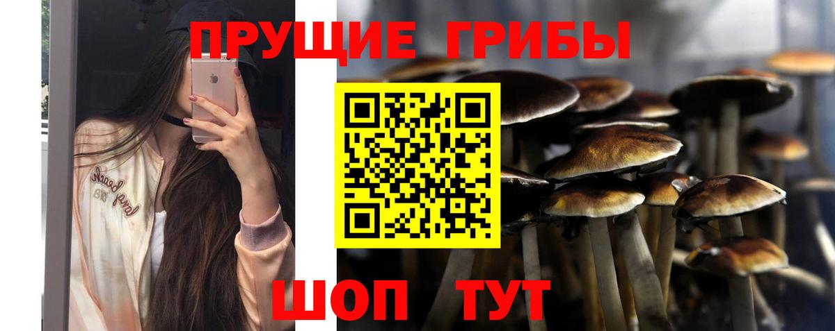 Касимов  Галлюциногенные грибы GOLDEN TEACHER  Галлюциногенные грибы Psilocybine cubensis  Вход с VPN 